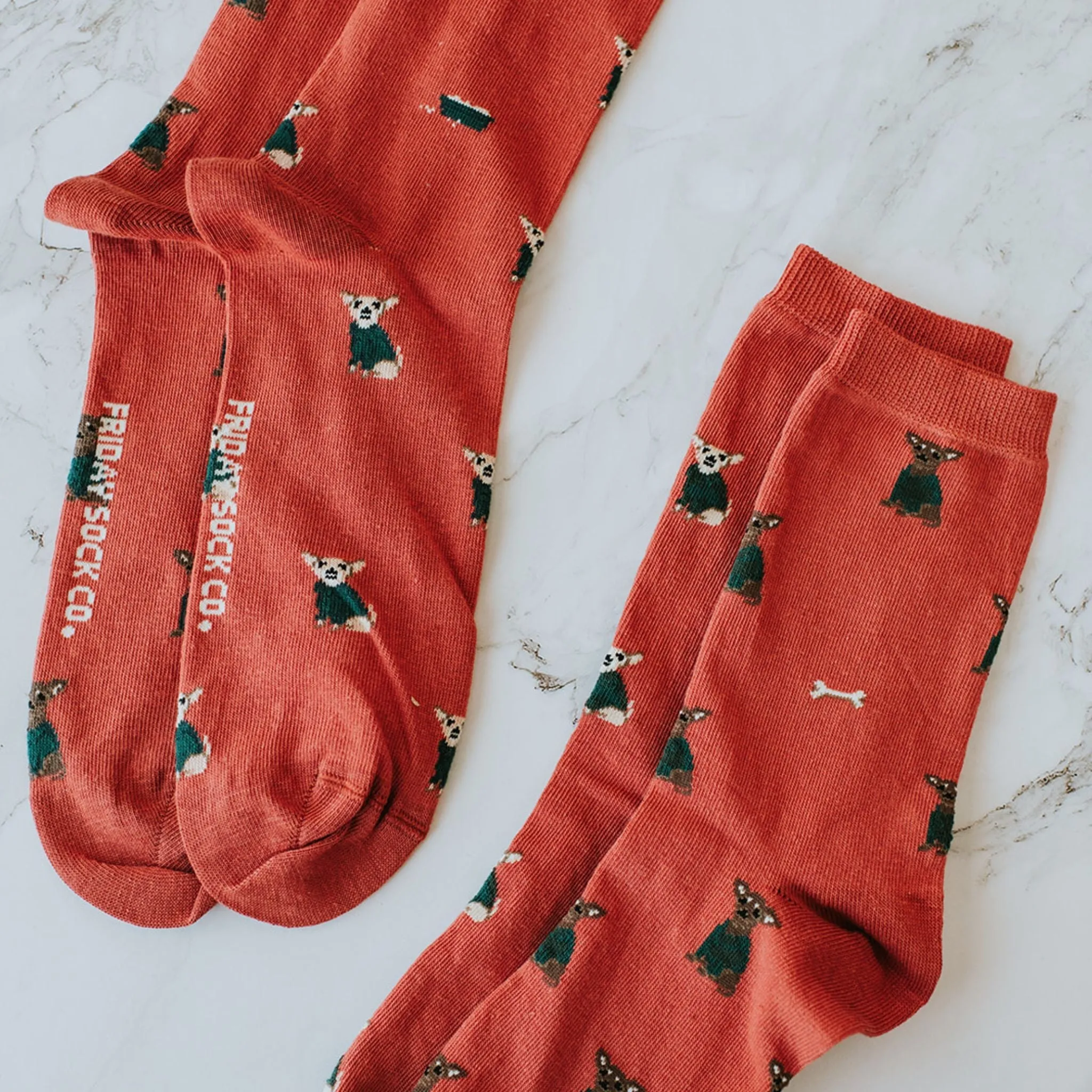 Friday Socks | Women's Little Dogs in Sweater Socks