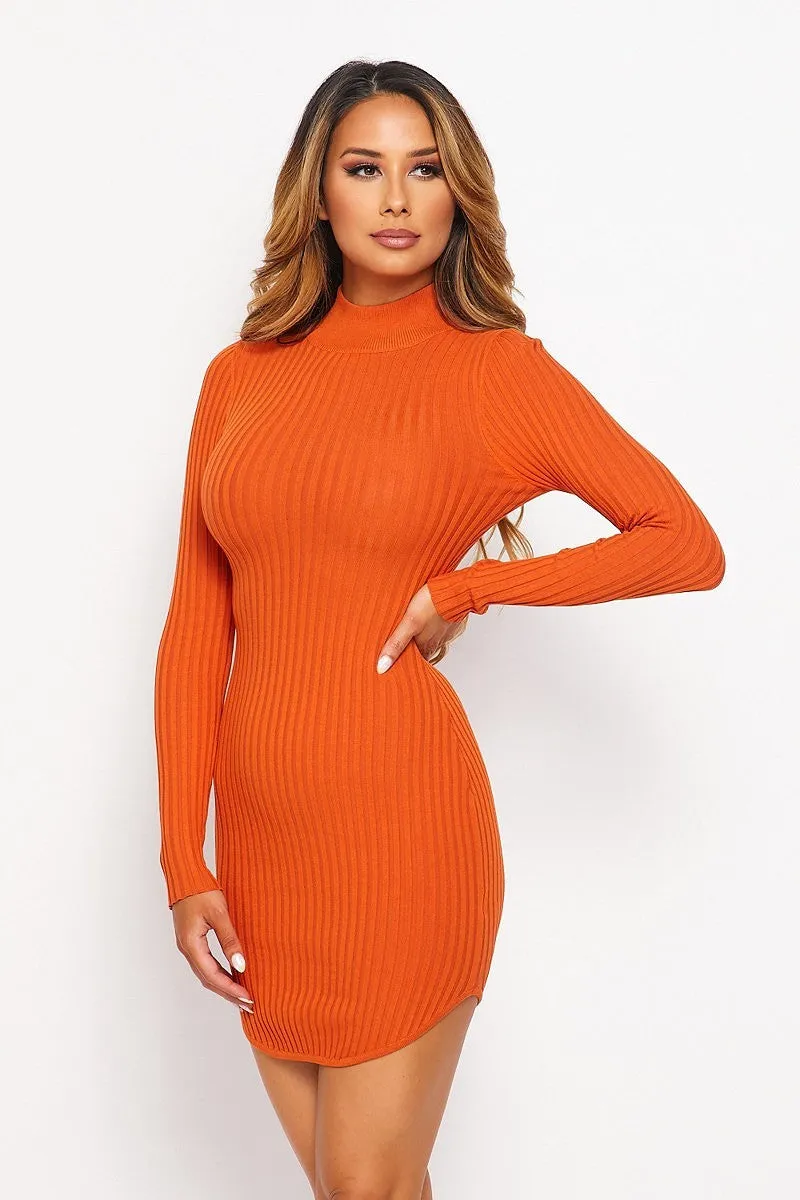 Knit Mock Neck Round Dress