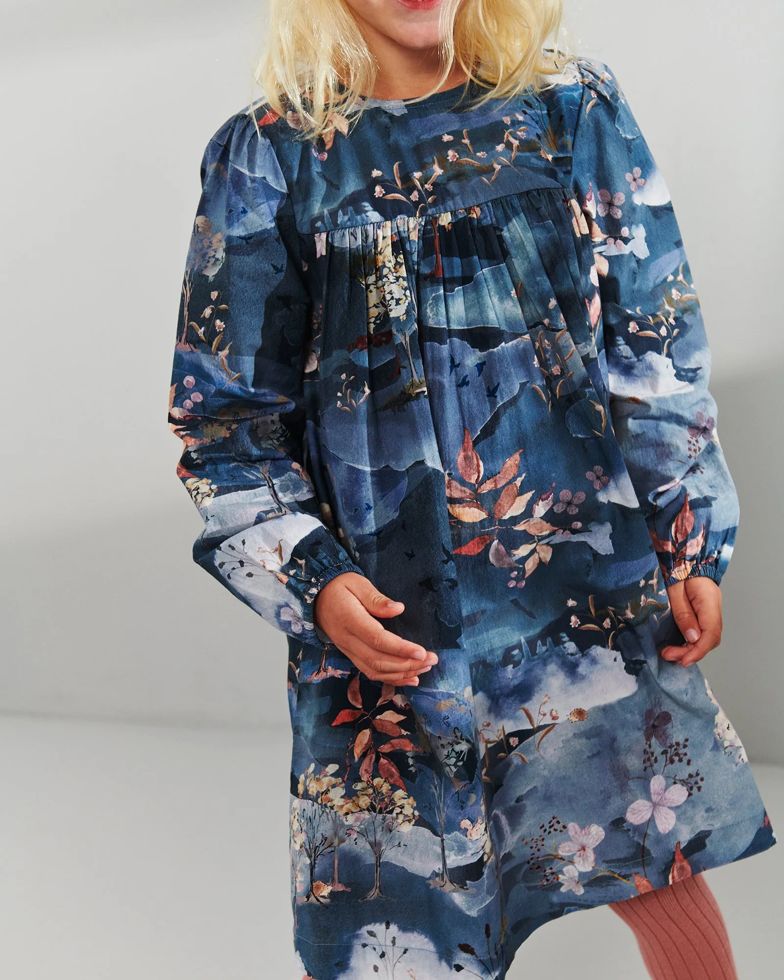 Poplin Dress w. Scenic Print - Kids - Blue/Rose