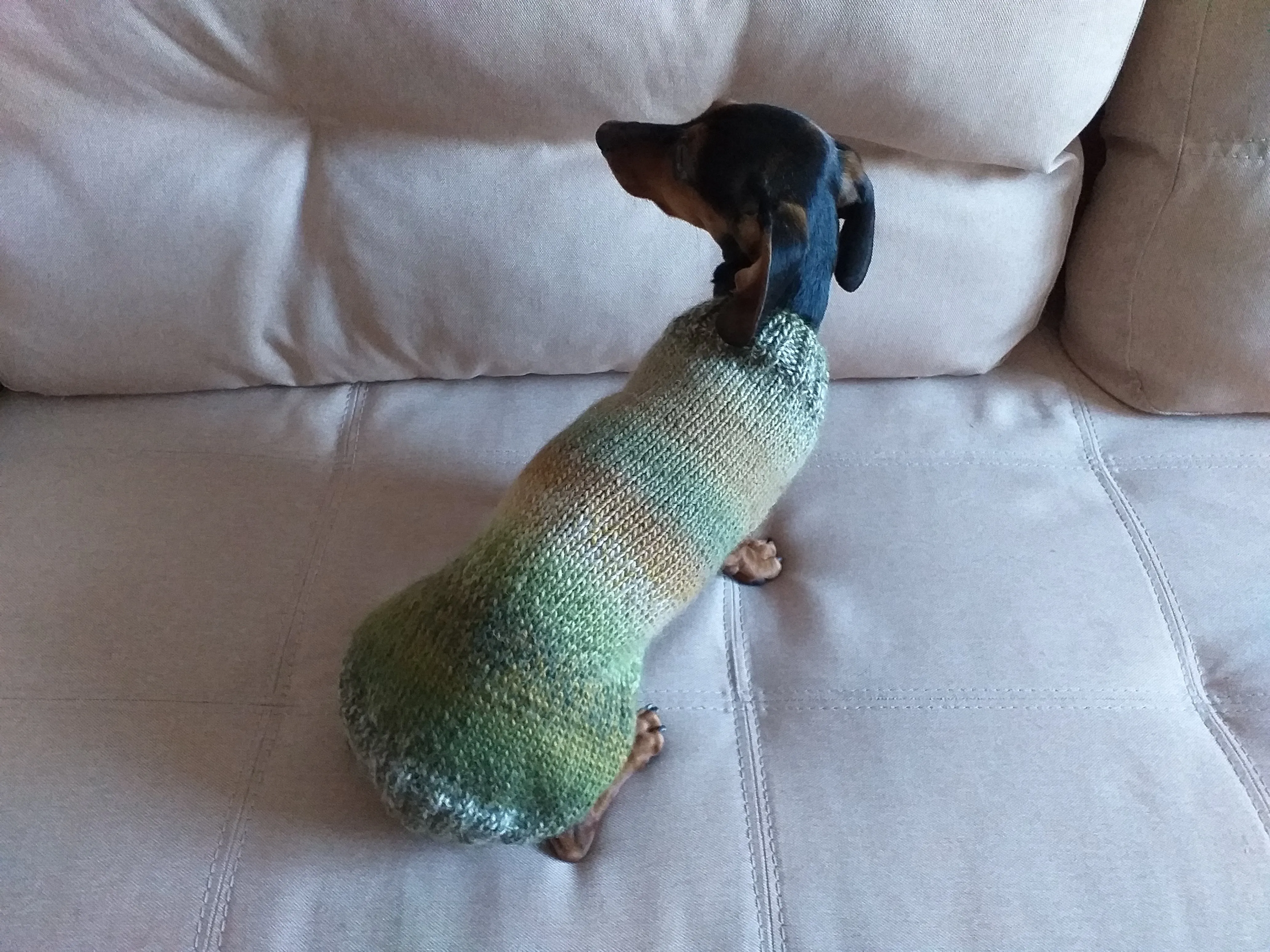 Warm coat for wiener dog, Miniature Dachshund Knitted Jumper, Dachshund clothes knitted sweater, wool sweater for dachshund or small dog