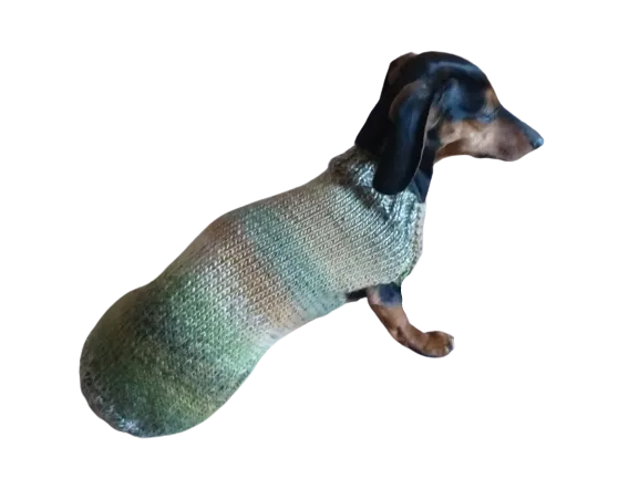 Warm coat for wiener dog, Miniature Dachshund Knitted Jumper, Dachshund clothes knitted sweater, wool sweater for dachshund or small dog