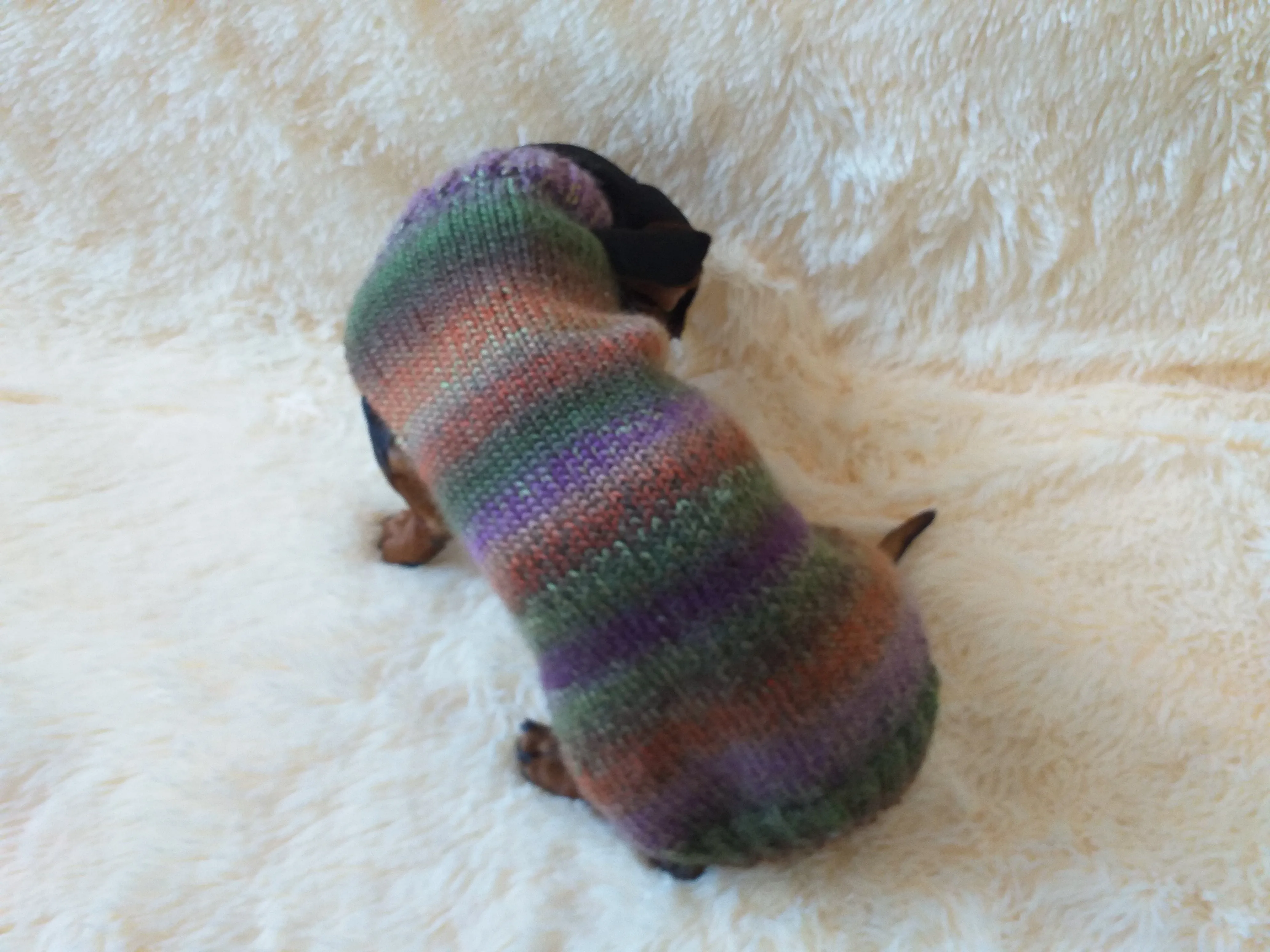 Warm coat for wiener dog, Miniature Dachshund Knitted Jumper, Dachshund clothes knitted sweater, wool sweater for dachshund or small dog