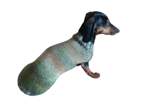 Warm coat for wiener dog, Miniature Dachshund Knitted Jumper, Dachshund clothes knitted sweater, wool sweater for dachshund or small dog