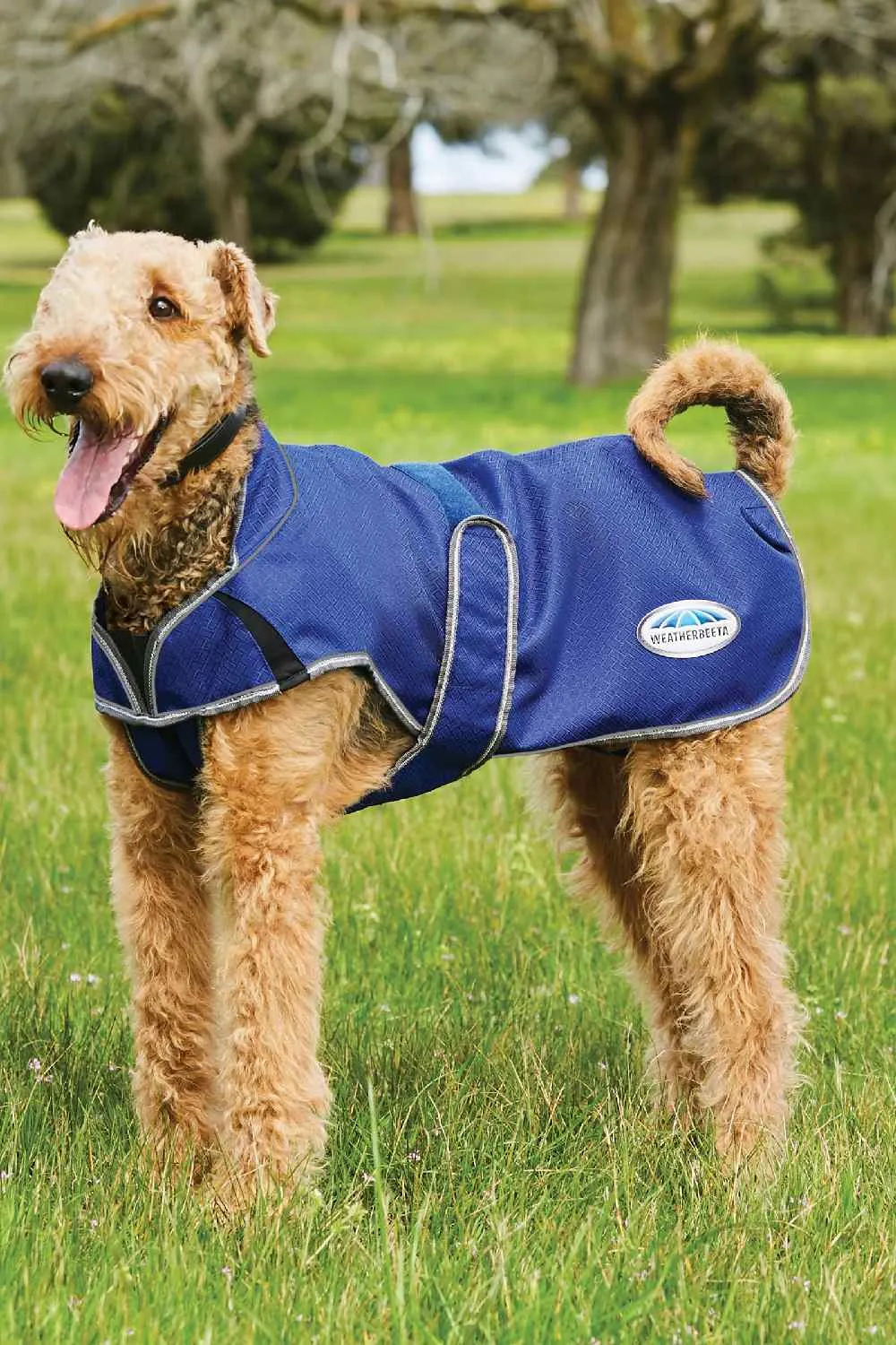 WeatherBeeta ComFiTec Premier Free Parka Deluxe Dog Coat