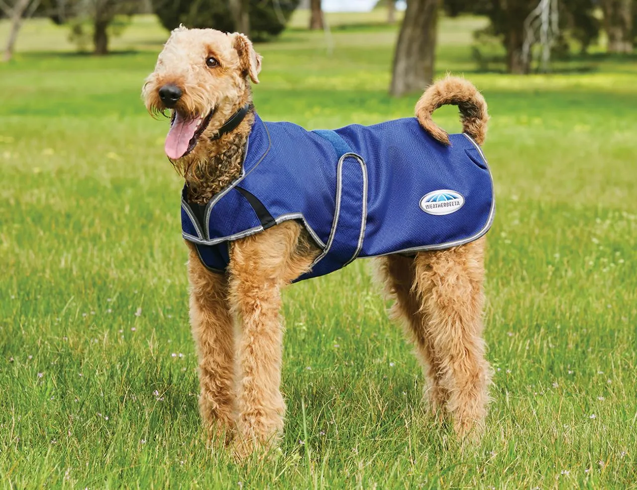 Weatherbeeta Comfitec Premier Free Parka Deluxe Dog Coat